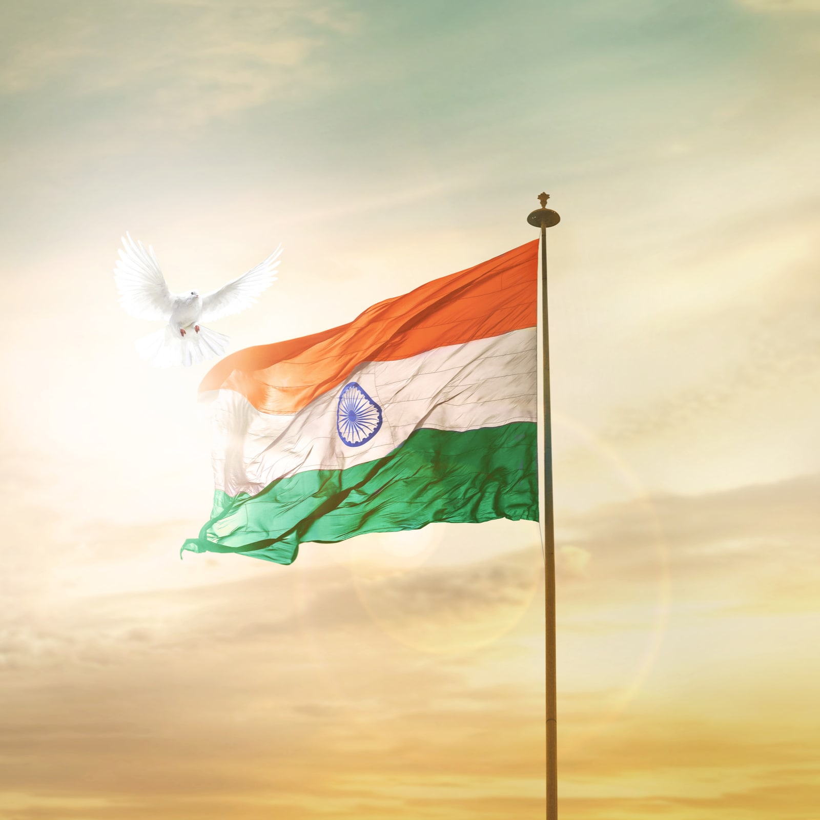 August 15, 2025 Google Doodle is a tribute to India’s unity, artistry, and the spirit of freedom. As India celebrates its 79th Independence Day today, here’s a look at Google Doodles featured on August 15 over the past decade: (Image: Shutterstock) August 15, 2025 Google Doodle is a tribute to India’s unity, artistry, and the spirit of freedom. As India celebrates its 79th Independence Day today, here’s a look at Google Doodles featured on August 15 over the past decade: (Image: Shutterstock)