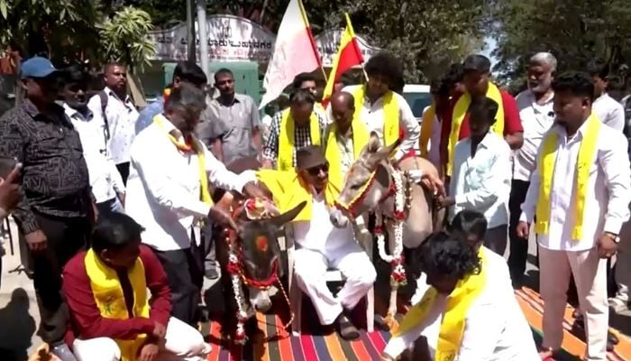 A pair of donkeys tied the knot in a unique wedding ceremony in the southern Indian city of Bengaluru, February 14, 2026. — Reuters